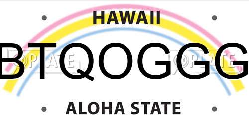 BTQOGGG Hawaii License Plate