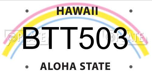 BTT503 Hawaii License Plate