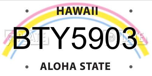 BTY5903 Hawaii License Plate