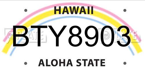 BTY8903 Hawaii License Plate