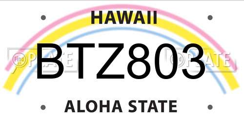 BTZ803 Hawaii License Plate