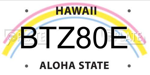 BTZ80E Hawaii License Plate