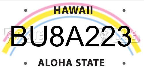 BU8A223 Hawaii License Plate