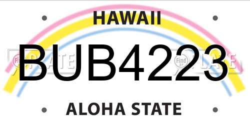 BUB4223 Hawaii License Plate