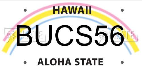 BUCS56 Hawaii License Plate