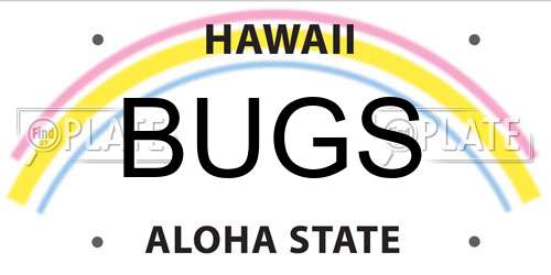BUGS Hawaii License Plate