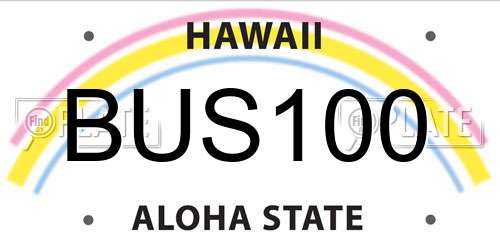 BUS100 Hawaii License Plate