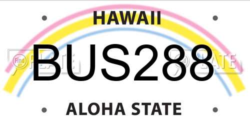 BUS288 Hawaii License Plate