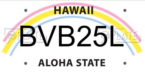BVB25L Hawaii License Plate