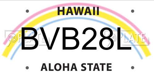 BVB28L Hawaii License Plate