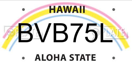 BVB75L Hawaii License Plate