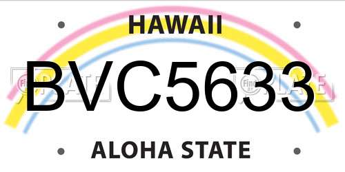 BVC5633 Hawaii License Plate