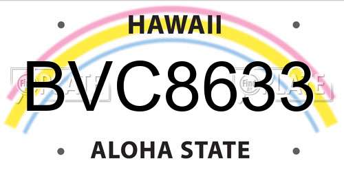 BVC8633 Hawaii License Plate