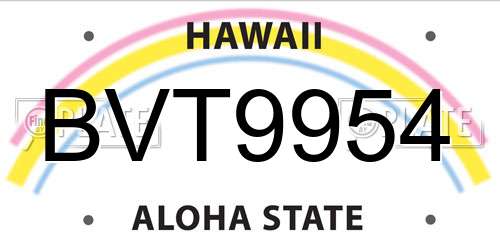 BVT9954 Hawaii License Plate