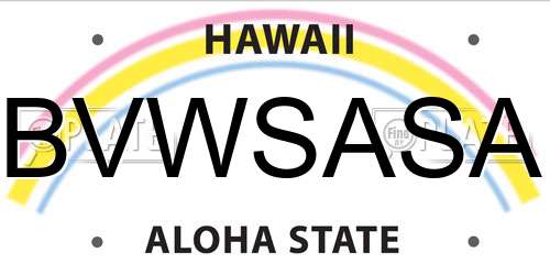 BVWSASA Hawaii License Plate