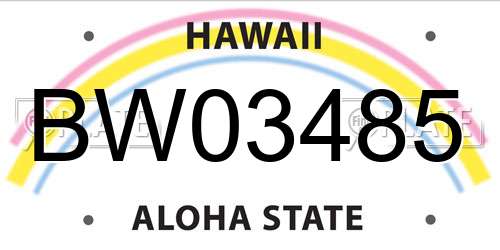 BW03485 Hawaii License Plate