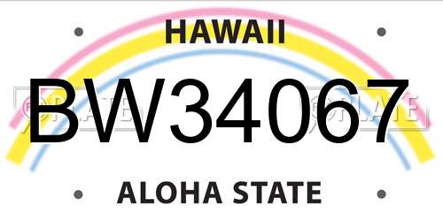 BW34067 Hawaii License Plate
