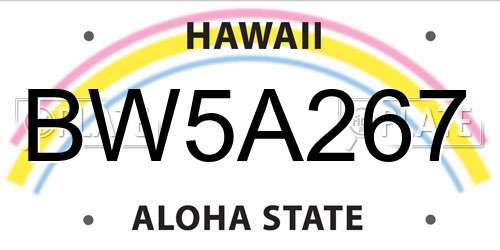 BW5A267 Hawaii License Plate