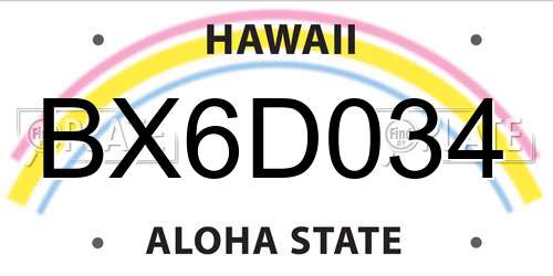 BX6D034 Hawaii License Plate