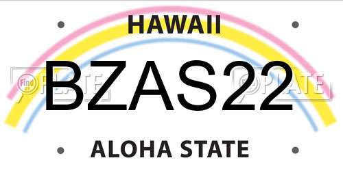 BZAS22 Hawaii License Plate
