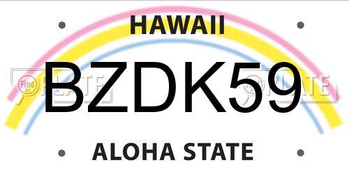 BZDK59 Hawaii License Plate