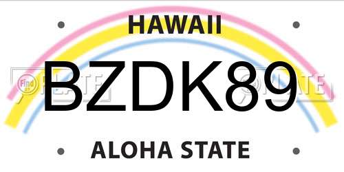 BZDK89 Hawaii License Plate