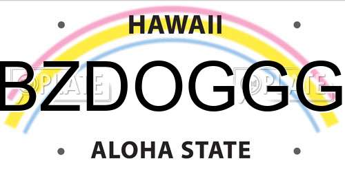 BZDOGGG Hawaii License Plate