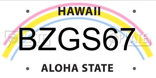 BZGS67 Hawaii License Plate
