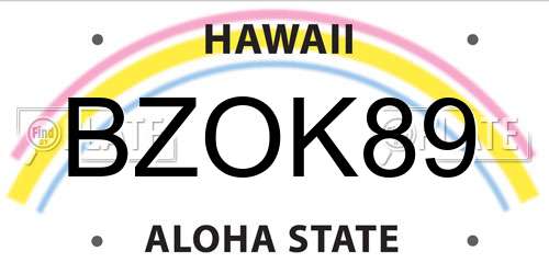 BZOK89 Hawaii License Plate