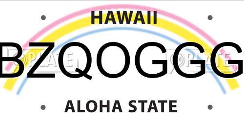 BZQOGGG Hawaii License Plate