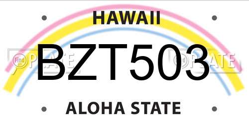 BZT503 Hawaii License Plate
