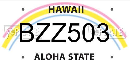 BZZ503 Hawaii License Plate
