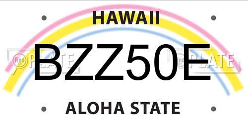 BZZ50E Hawaii License Plate