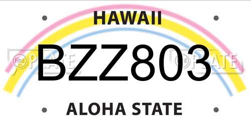 BZZ803 Hawaii License Plate