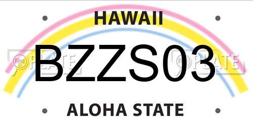 BZZS03 Hawaii License Plate