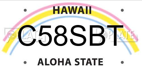 C58SBT Hawaii License Plate