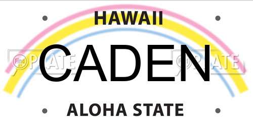 CADEN Hawaii License Plate