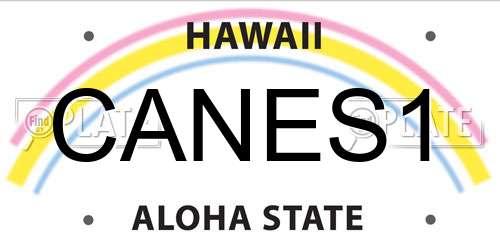 CANES1 Hawaii License Plate