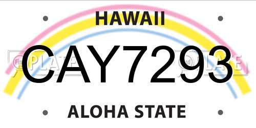 CAY7293 Hawaii License Plate