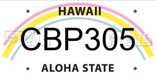 CBP305 Hawaii License Plate