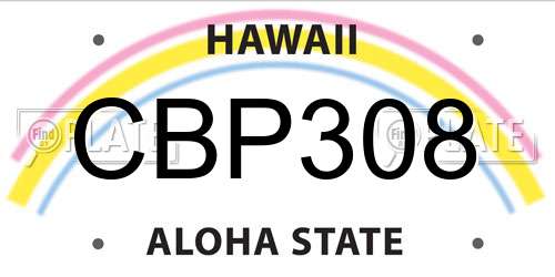 CBP308 Hawaii License Plate