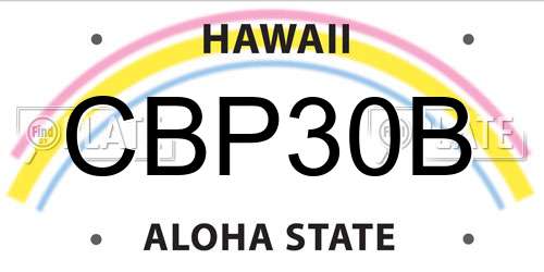 CBP30B Hawaii License Plate