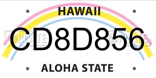 CD8D856 Hawaii License Plate