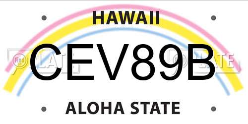 CEV89B Hawaii License Plate