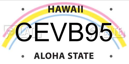 CEVB95 Hawaii License Plate