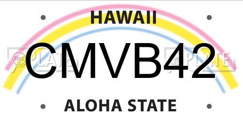 CMVB42 Hawaii License Plate