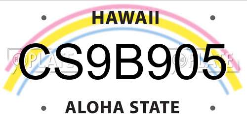 CS9B905 Hawaii License Plate