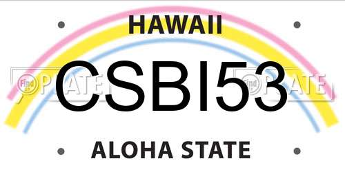 CSBI53 Hawaii License Plate