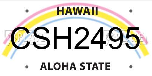 CSH2495 Hawaii License Plate