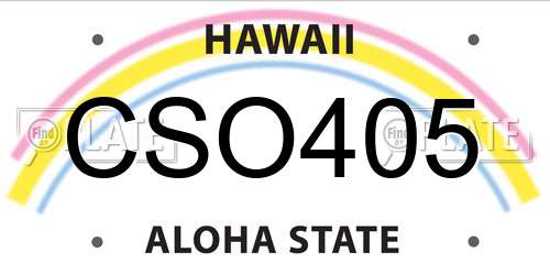 CSO405 Hawaii License Plate